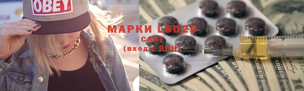 хмурый Инта