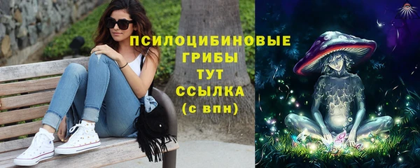 дурь Заводоуковск