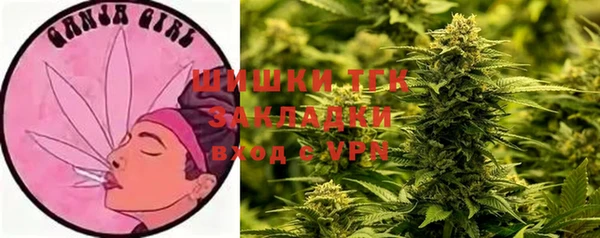 дурь Заводоуковск