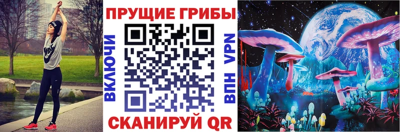 Псилоцибиновые грибы Cubensis  Купить где  Дальнереченск 